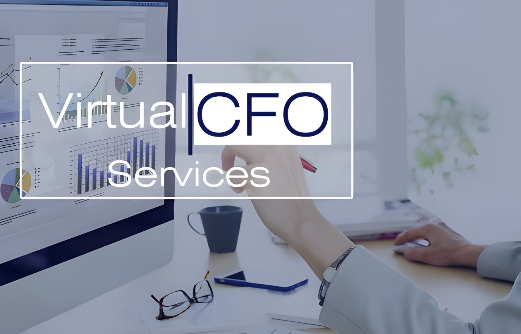 Virtual CFO Services