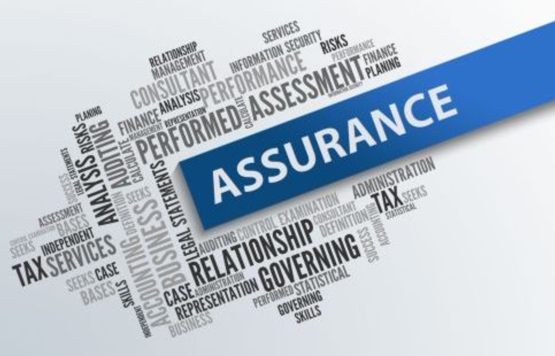 Assurance Services