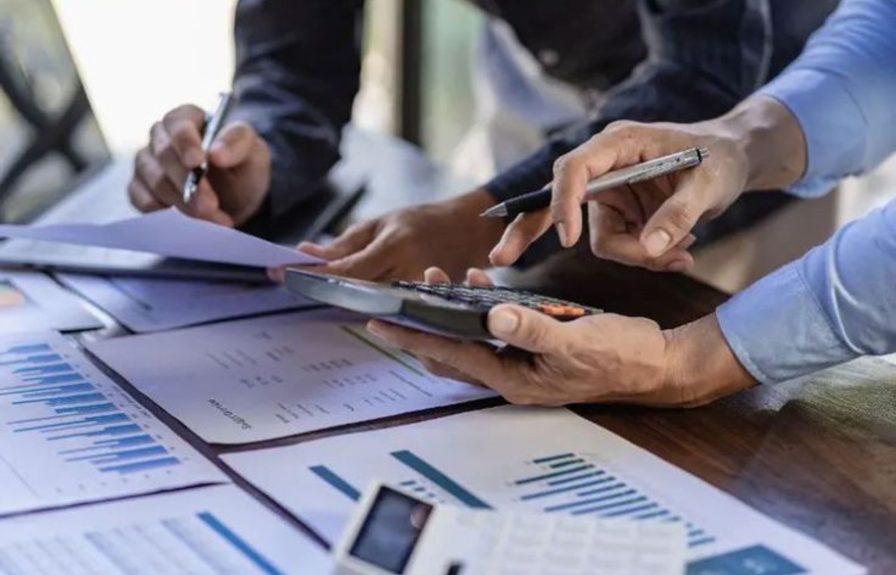 Business Establishment Services