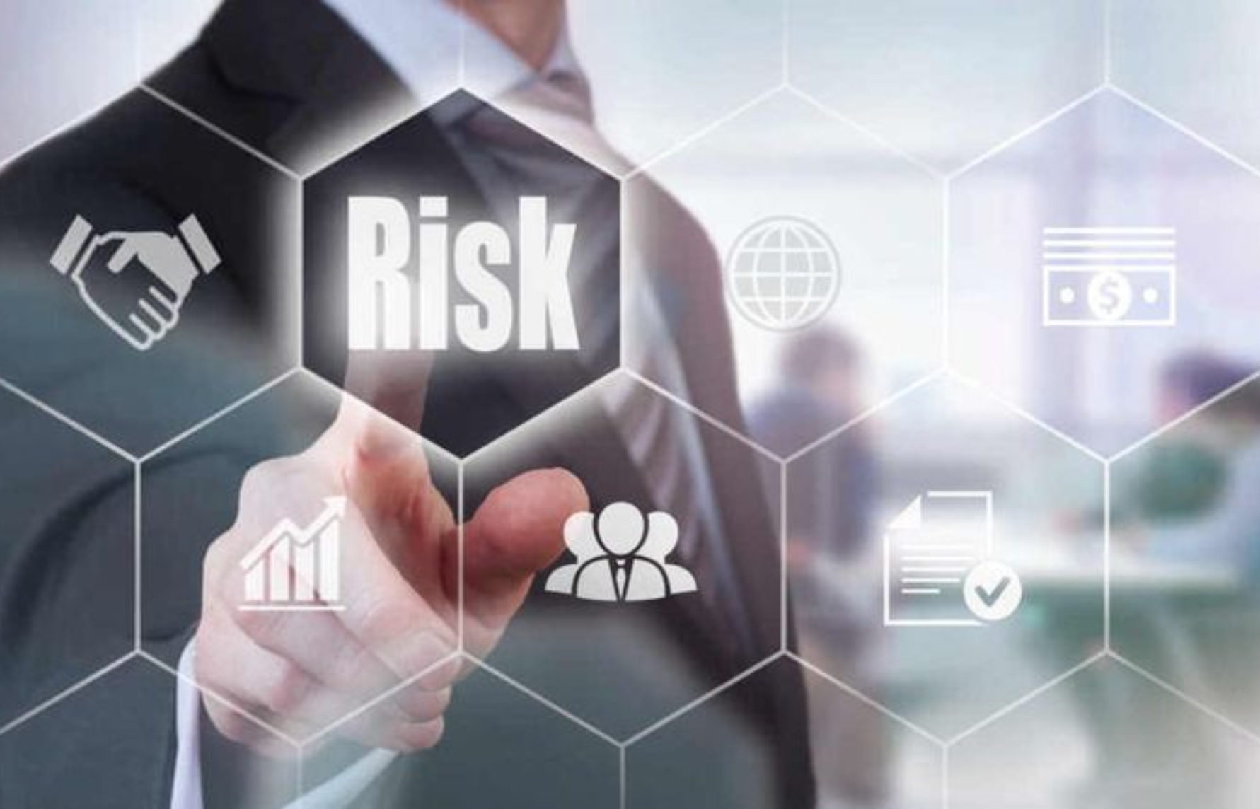 Risk Advisory Services